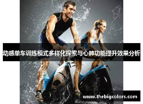 动感单车训练模式多样化探索与心肺功能提升效果分析