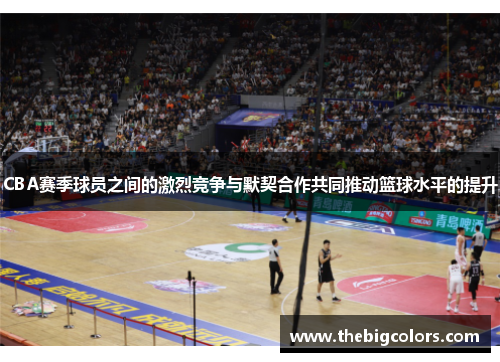 CBA赛季球员之间的激烈竞争与默契合作共同推动篮球水平的提升