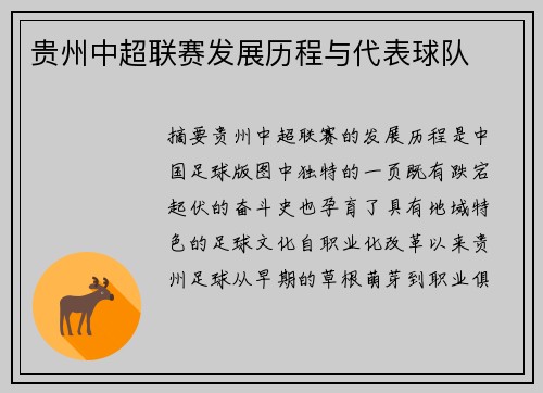 贵州中超联赛发展历程与代表球队